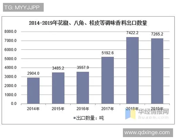 上海排球队的转型之路与未来发展趋势分析