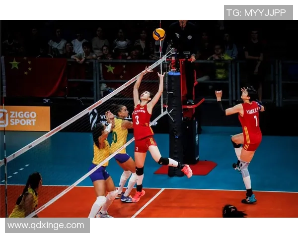 上海排球队状态深度对比分析与未来发展趋势探讨