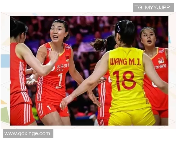 上海排球队近期状态对比深度解析与未来展望